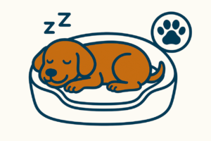 Hundebetten, Betten für Hunde